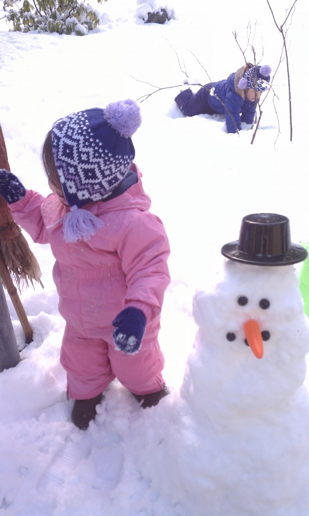 Strawberry ice cream, snowmen and power-outages = the week + that was ...